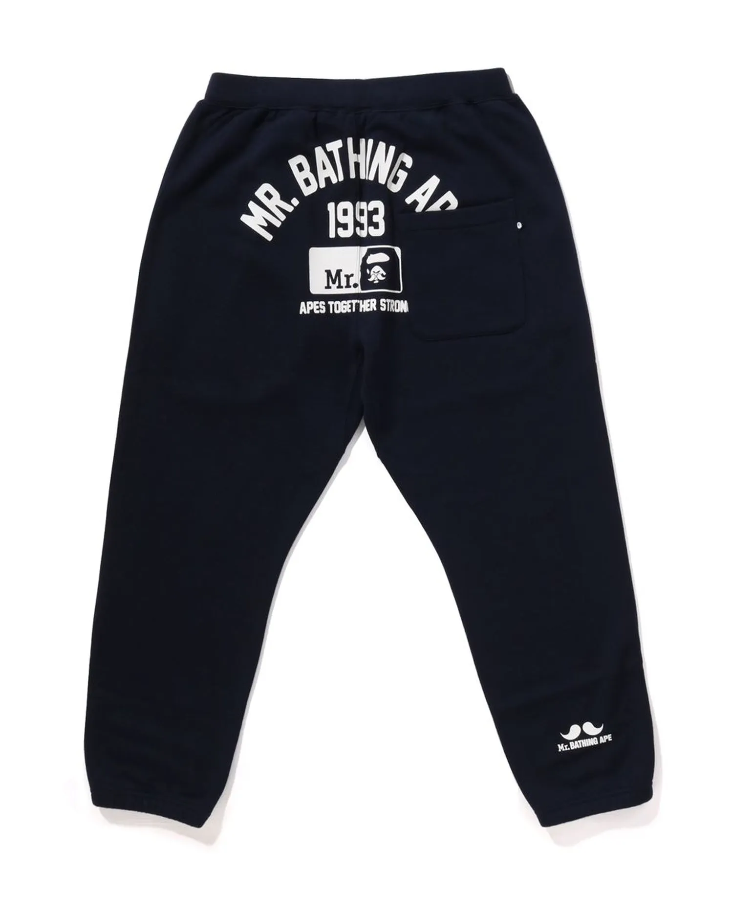 College sweat pants