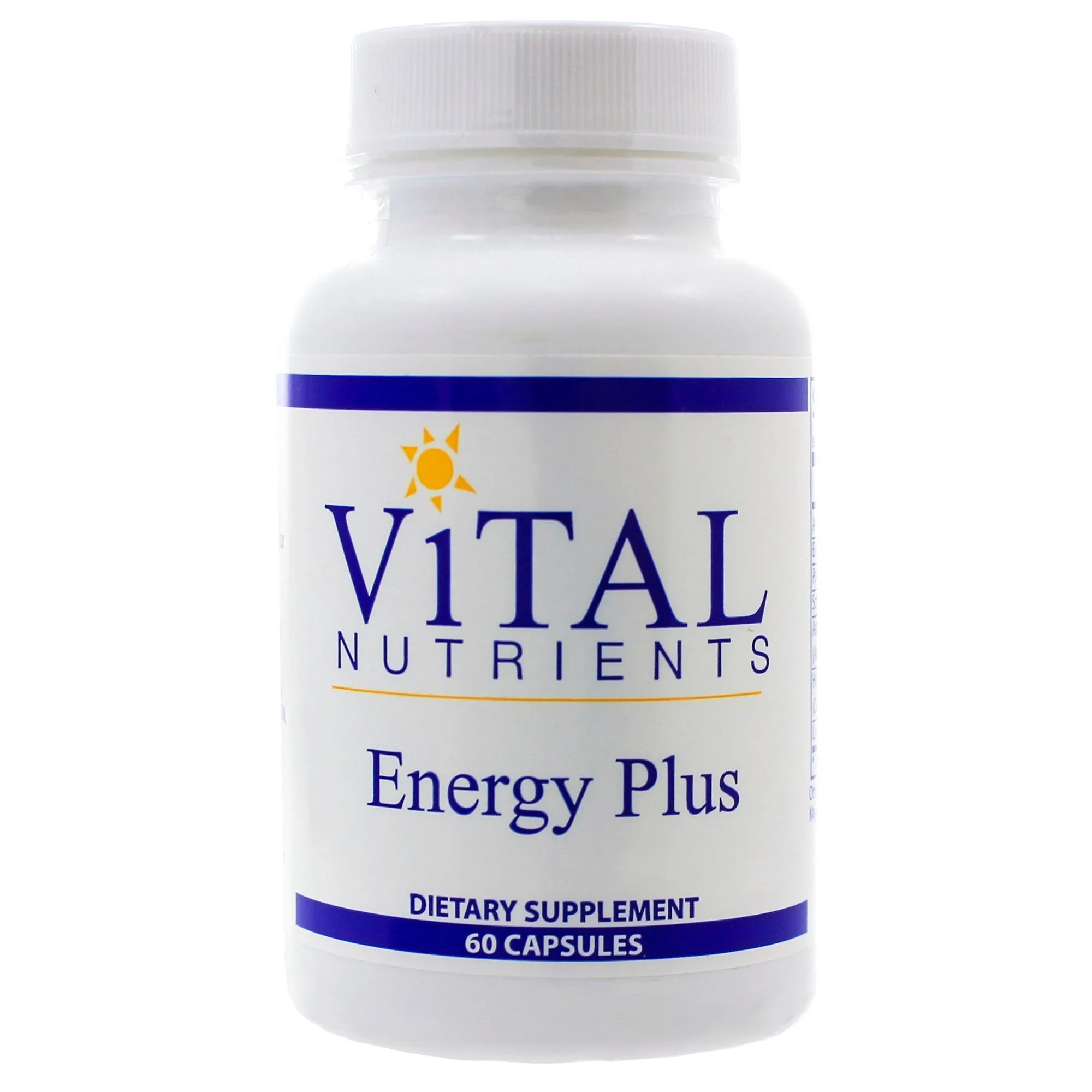 Energy Plus