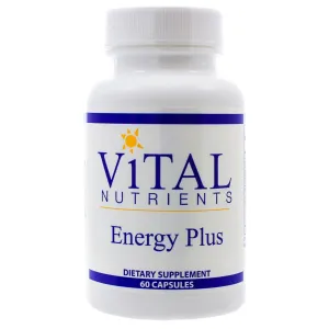 Energy Plus