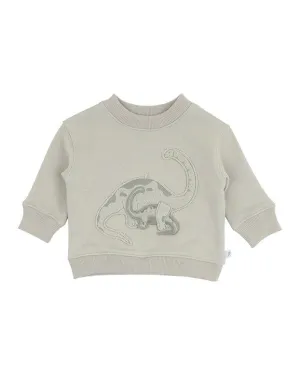 Isaac 3D Dinosaur Sweatshirt - Lt Sage