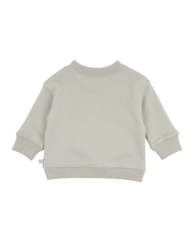 Isaac 3D Dinosaur Sweatshirt - Lt Sage