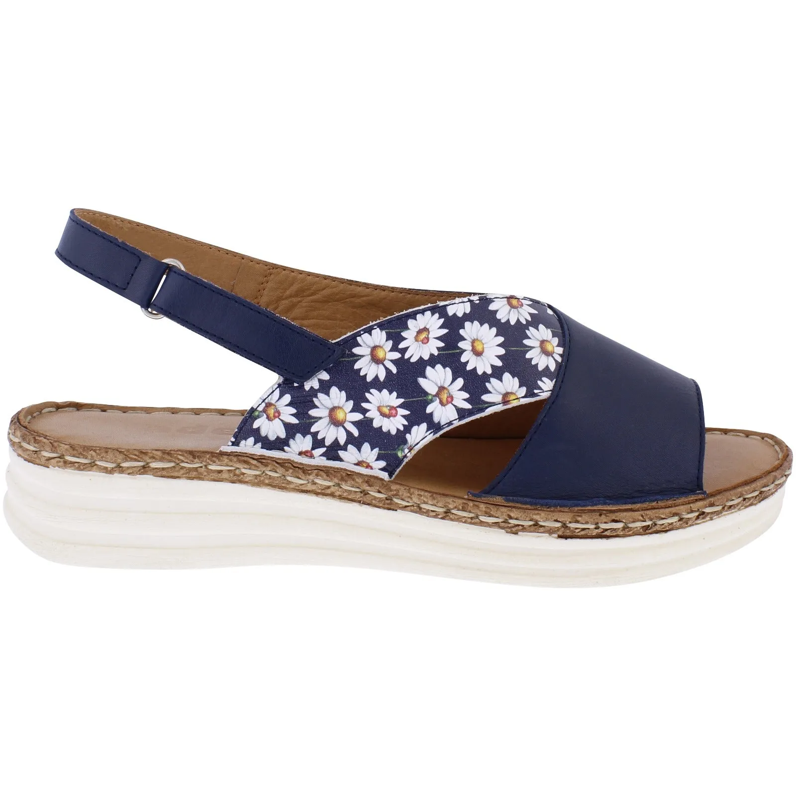 Lady Navy Daisy