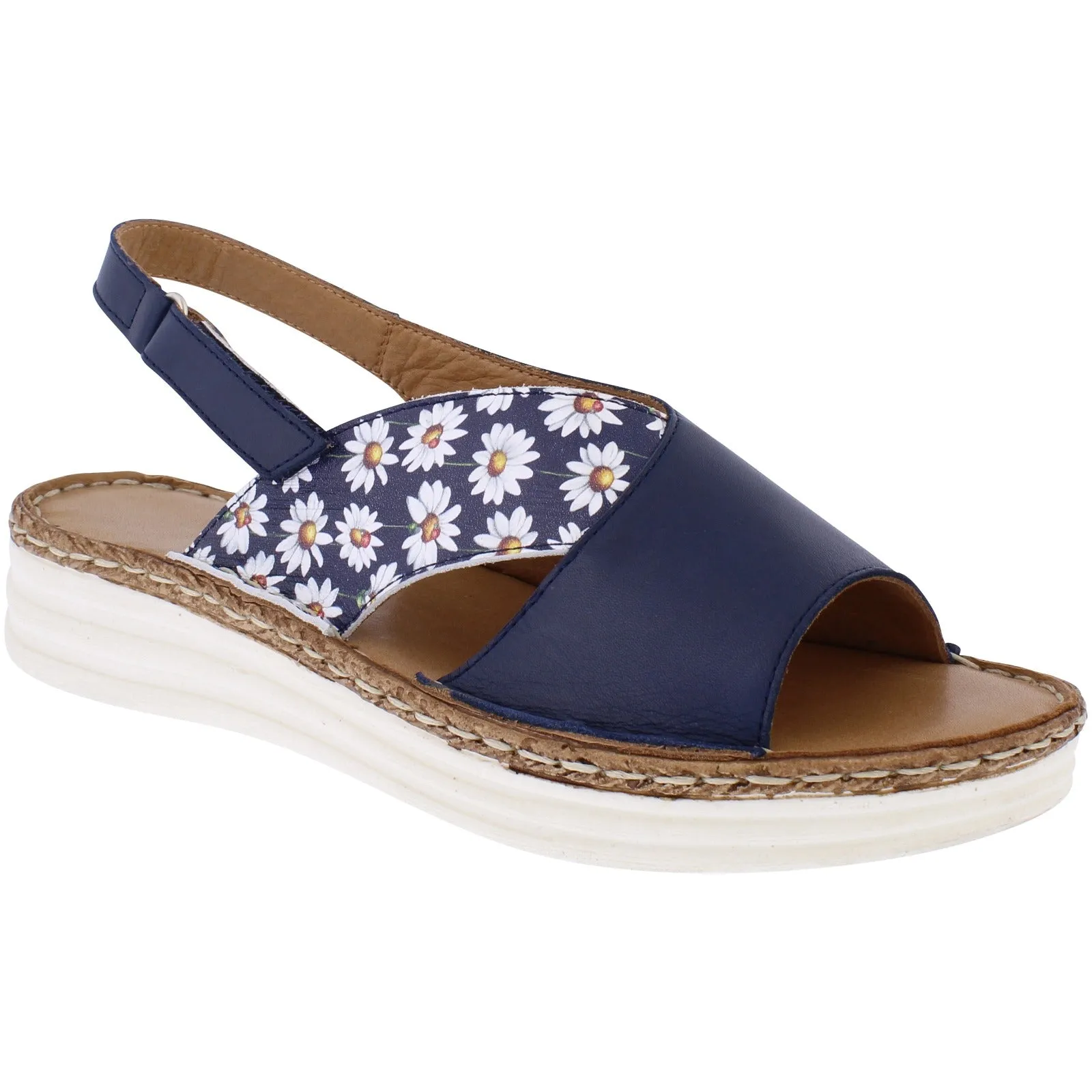Lady Navy Daisy