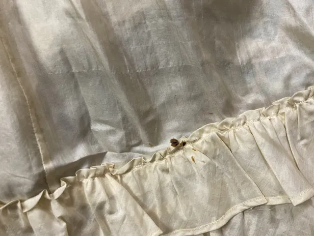 Lingerie Dress, America, ca. 1898