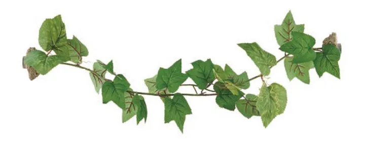 Magnetic Grape Leaves