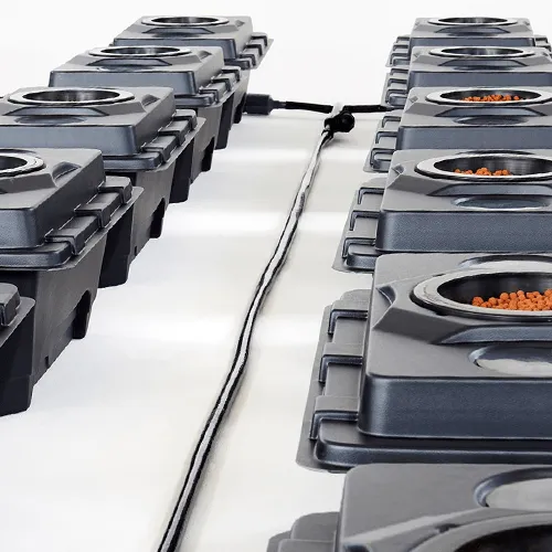 Nutriculture RUSH RDWC System