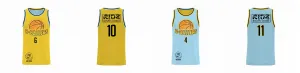 STANDARD Core Reversible Basketball Singlet Design Your Own