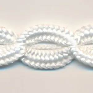 Trimming Braid #01 White